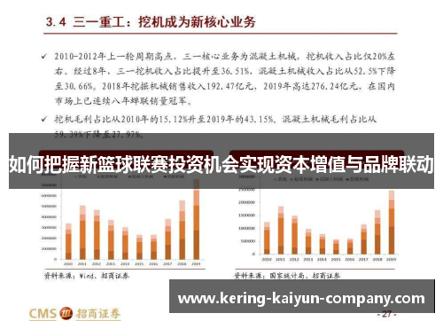 如何把握新篮球联赛投资机会实现资本增值与品牌联动