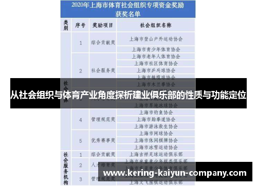 从社会组织与体育产业角度探析建业俱乐部的性质与功能定位