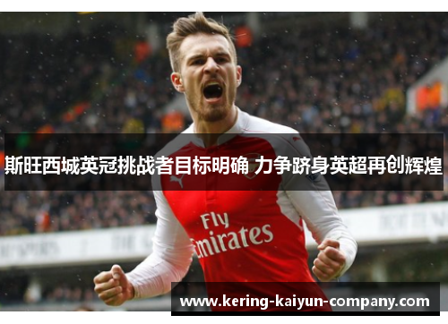 斯旺西城英冠挑战者目标明确 力争跻身英超再创辉煌 斯旺西城英冠挑战者目标明确 力争跻身英超再创辉煌
