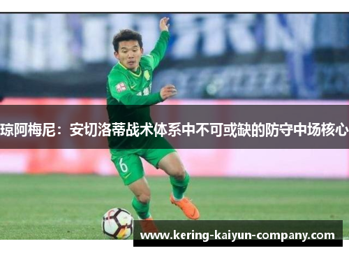 琼阿梅尼：安切洛蒂战术体系中不可或缺的防守中场核心