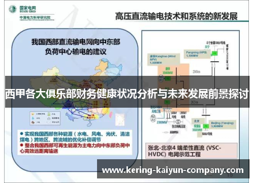 西甲各大俱乐部财务健康状况分析与未来发展前景探讨